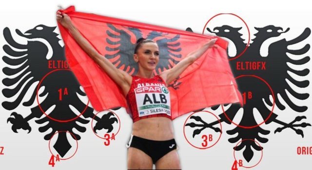 Skandali me flamurin, Luiza Gega: Ishte imitim kinez, s’do pranoja të parakaloja