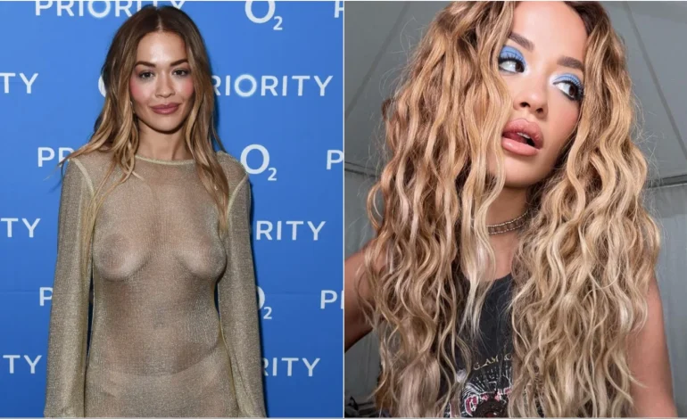 Rita s’i lë vend imagjinatës, i tregon të gjitha me fustanin transparent në koncert