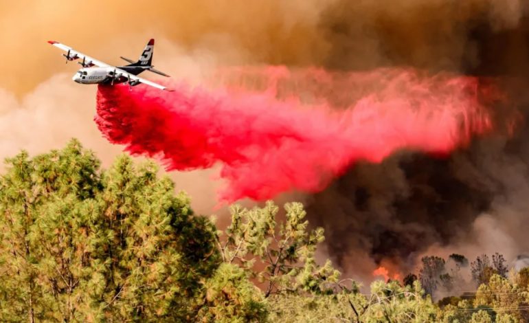 SHBA-ja perëndimore “piqet” në valën e të nxehtit, 57 milionë njerëz nën alarm! Temperaturat mund të arrijnë 53 gradë! 
