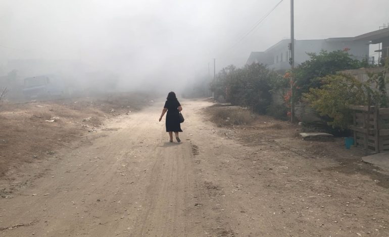 Tymi i plehrave mbulon Vlorën në mes të sezonit turistik