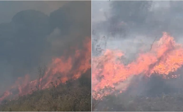 Zjarr masiv pranë Gjirokastrës, dyshohet i qëllimshëm. Banorë dhe zjarrfikës në luftë me flakët