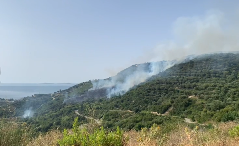 Zjarr i madh në kodrat e fshatit Radhimë, digjen ullinj dhe pemtari