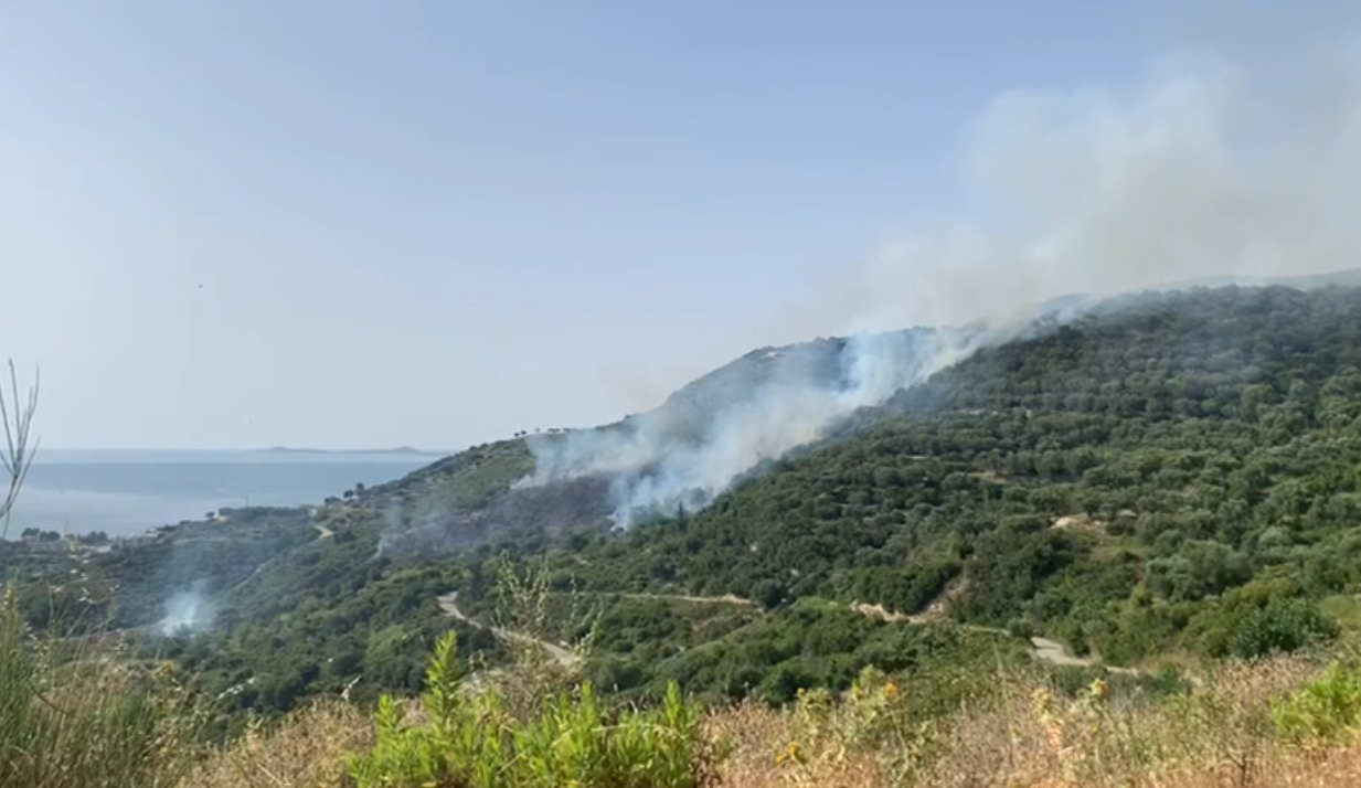 Zjarr i madh në kodrat e fshatit Radhimë, digjen ullinj dhe pemtari