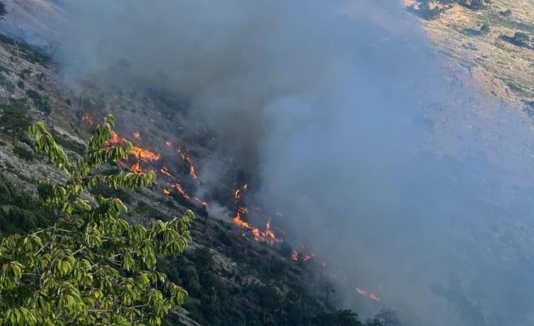 Vijon zjarri në zonën poshtë Qafës së Llogarasë, rrezikohet Parku Kombëtar, kërkohet shtim i forcave zjarrfikëse