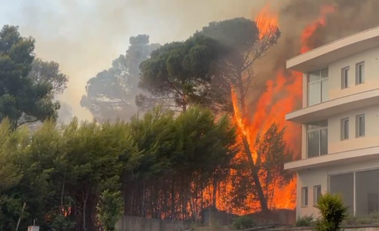 Situatë alarmante në Shëngjin/ Flakët përpijnë çfarë gjejnë para, pamje të frikshme