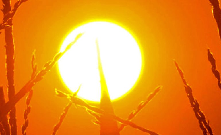 Çfarë Përfitimesh Shëndetësore Ofron Ekspozimi në Diell?