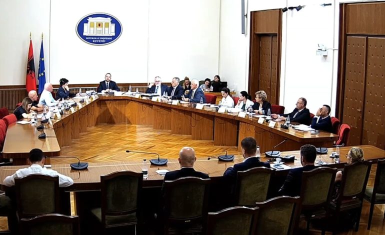 ‘S’më trembni fare ju mua, çoheni si frikacakë”, Salianji përplaset me Gogun në “TIMS”, nënkryetari: Me shumë durim ju kemi treguar kompetencat tuaja