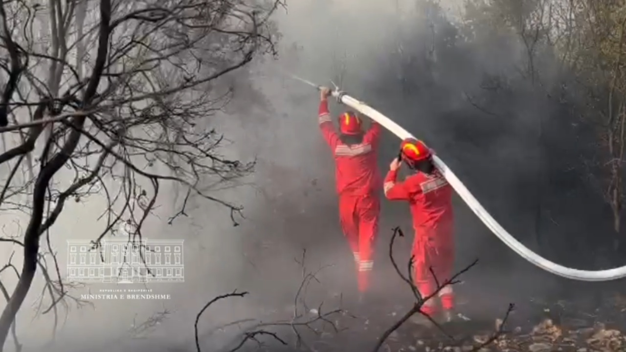 Zjarr masiv në Dropull/ Zjarrfikëset dhe Forcat e Armatosura në terren, ndërhyrje nga ajri për fikjen e flakëve