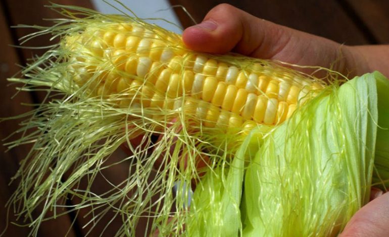 Hiperinsulina – Nga se Shkaktohet dhe si të Ruani Nivelin e Sheqerit në Gjak