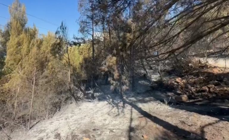 Zjarri apokaliptik në Shëngjin/ Pemë të kthyera në hi, çfarë lanë pas flakët masive! Zjarrfikësit ndodhen ende në terren