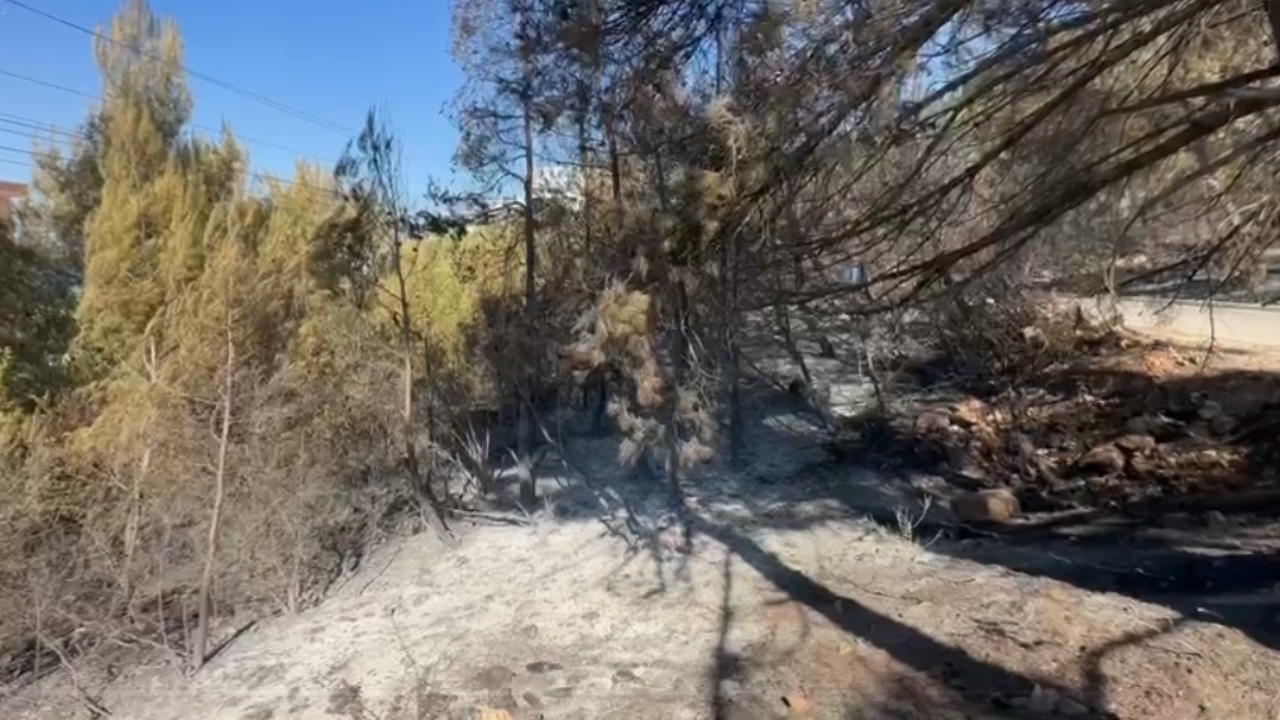 Zjarri apokaliptik në Shëngjin/ Pemë të kthyera në hi, çfarë lanë pas flakët masive! Zjarrfikësit ndodhen ende në terren