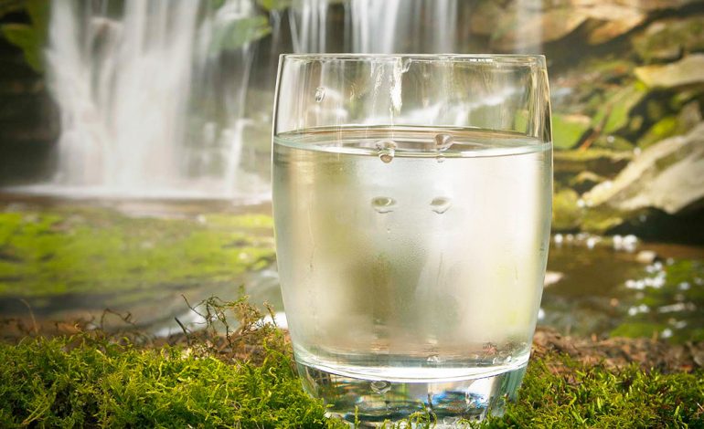 Pse Mungesa e Ujit Nxit Shtimin në Peshë – Sa Duhet të Pini