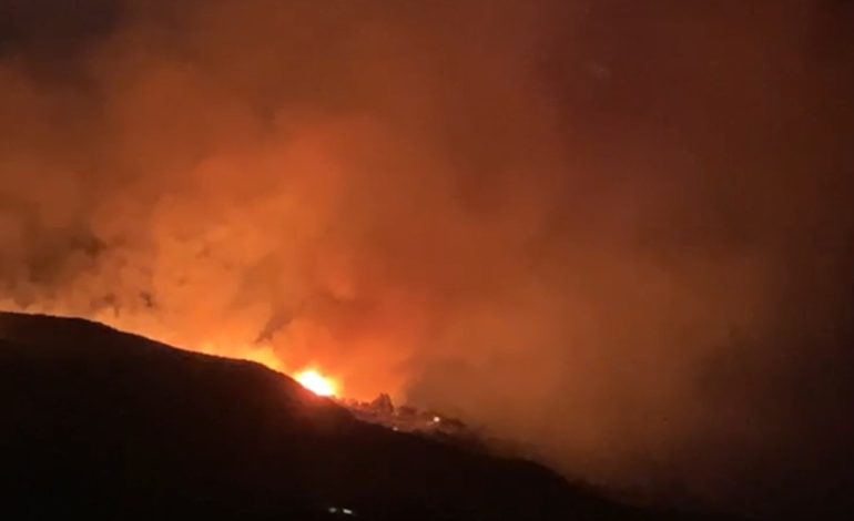 23 zjarre dhe 9 të arrestuar/ Gushti, përvëlues për pyjet, ende ka vatra të mëdha në të gjithë vendin