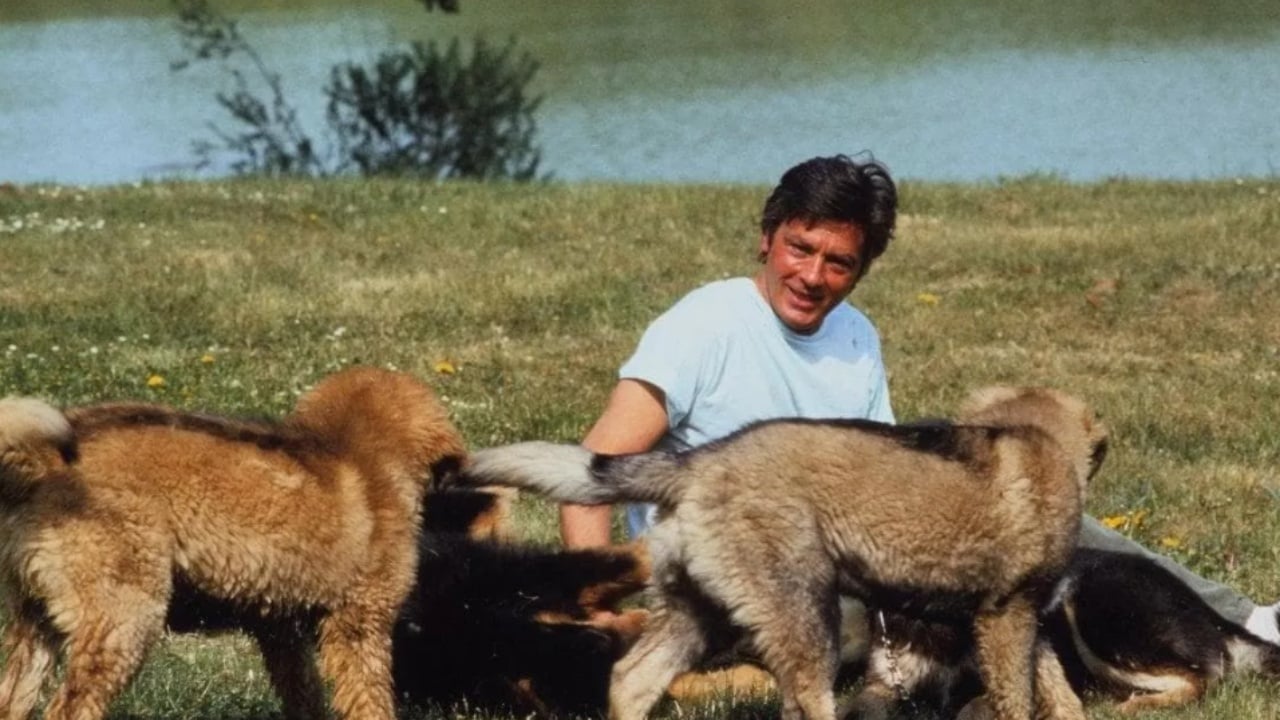 FOTO/ Dashuria e madhe e Alain Delon për kafshët, kërkonte që të varrosej pranë qenve të tij