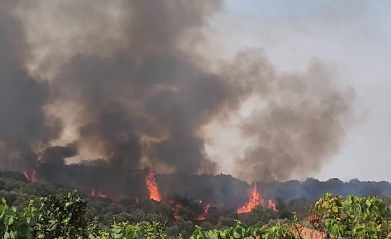 Zjarr masiv në Fier, terreni i vështirë bën të pamundur ndërhyrjen e zjarrfikësve, kërkohet ndihmë nga ajri