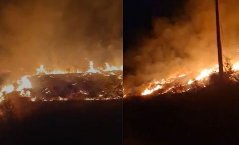 Tjetër vatër zjarri në fshatrat e Selenicës, terreni i thyer vështirëson ndërhyrjen e forcave zjarrfikëse