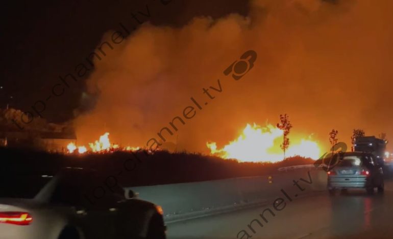 Zjarri i madh në aksin Lushnjë-Rrogozhinë, deputeti Braçe apel qytetarëve: Zjarrfikësit në vendngjarje! Ndaloni deri sa flakët të shuhen