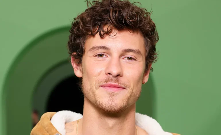 Nëpërmjet këngës së re, Shawn Mendes zbulon se ishte gati të bëhej baba