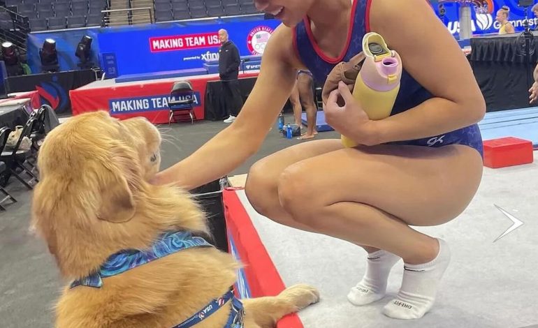 Njihuni me Beacon, qeni “hero” që po ndihmon garuesit në Paris të menaxhojnë stresin