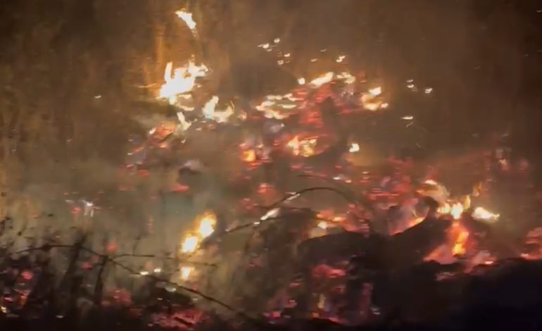 Zjarr në Gjirokastër! Mund të kishte rezultuar fatale për dhjetëra prona dhe njerëz në fshatin Hundkuq, merret nën kontroll situata