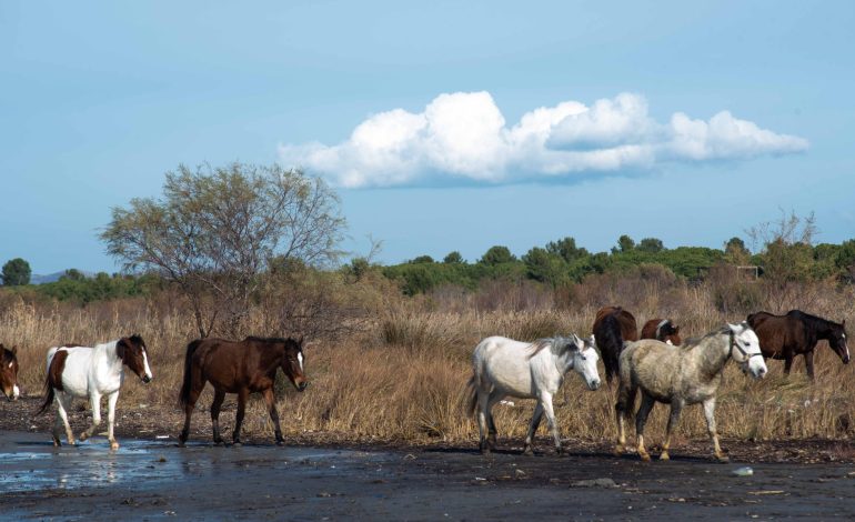 Ministria e Mjedisit i hap rrugën ndërtimeve në Zonat e Mbrojtura