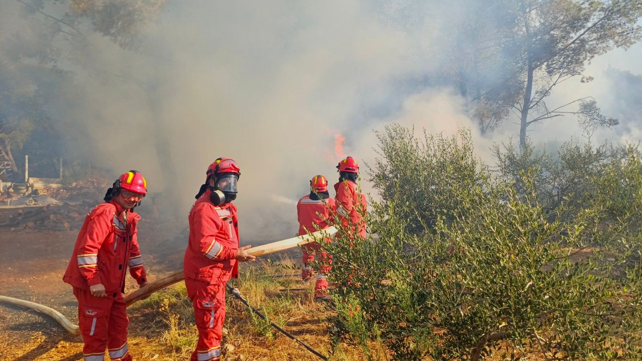 Situata e zjarreve në vend, ende 12 vatra aktive! Dhjetëra zjarrfikës në terren