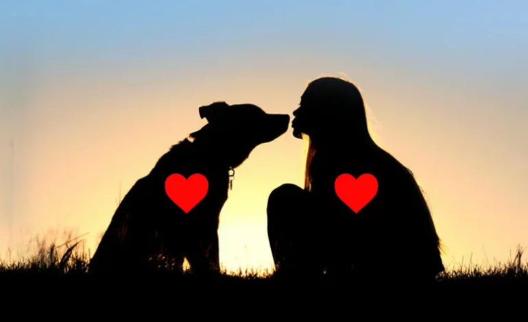 26 Gushti, Dita Ndërkombëtare e Qenit! Miku që nuk iu braktis kurrë