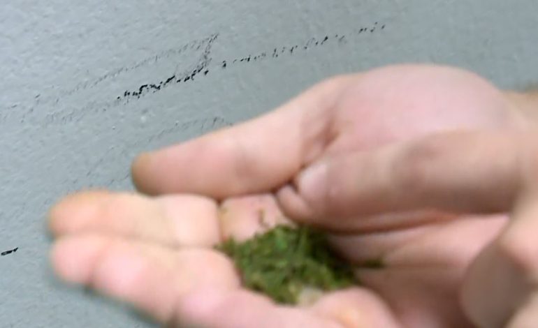 Rritet dhuna mes adoleshentëve! Psikologët ngrenë shqetësimin: Djemtë hyjnë në rrugën e krimit duke ndjekur modelet e gabuara në rrjetet sociale