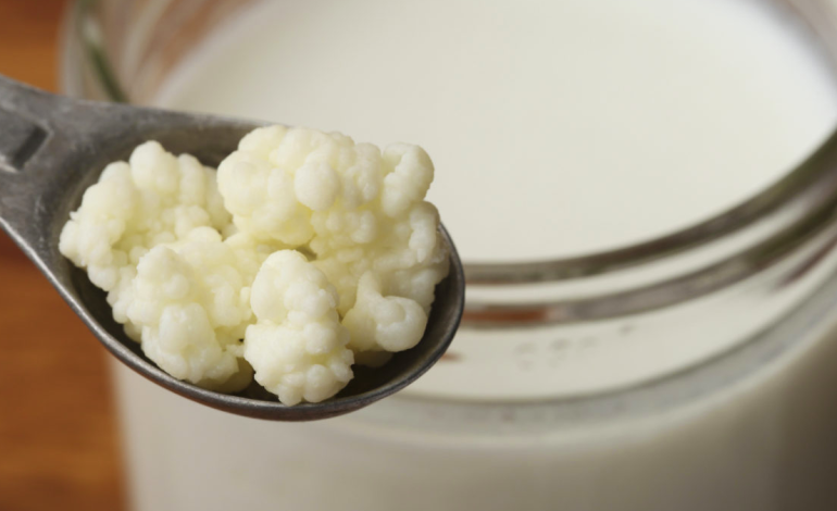 Pija që Zgjat Jetën – Kefiri, Ushqimi më i Shëndetshëm i Shekullit