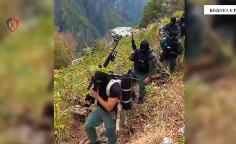 LAJMI I FUNDIT/ Plumba drejt efektivëve në Malësinë e Madhe, policia: U qëlluam gjatë aksionit antidrogë									
									 21/08/2024 14:51