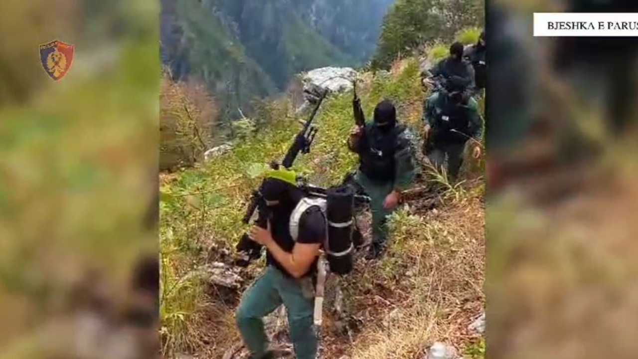 LAJMI I FUNDIT/ Plumba drejt efektivëve në Malësinë e Madhe, policia: U qëlluam gjatë aksionit antidrogë									
									 21/08/2024 14:51