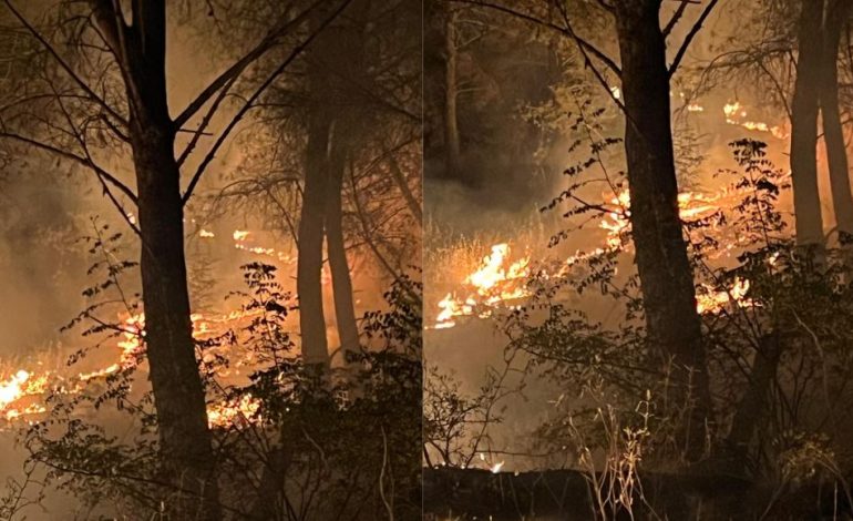 Zjarri pranë kalasë së Shën Triadhës merr përmasa të frikshme, rrezikohen fshatrat! Priten përforcime zjarrfikësish nga tre qytetet pranë