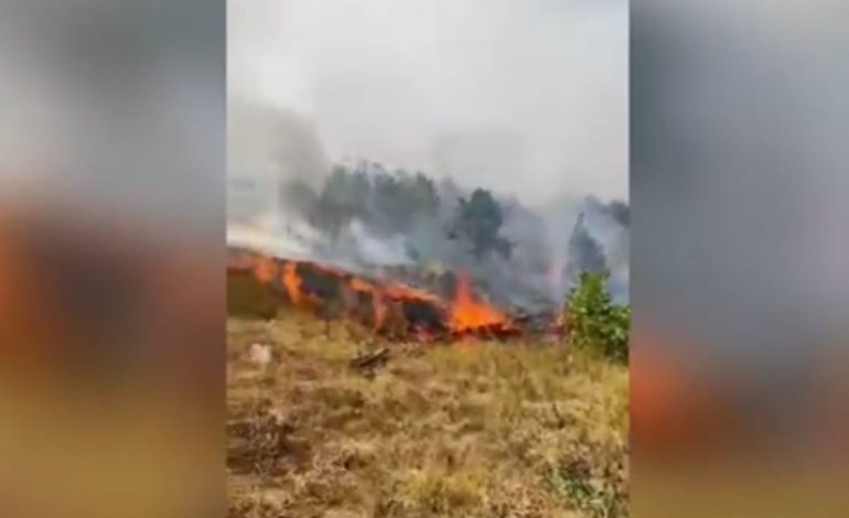 Përkeqësohet situata me zjarrin në Mirditë, qytetari denoncon në “Ti Raporton”: Ju lutem bëni diçka, jemi në mëshirë të fatit