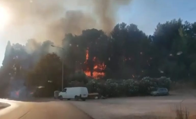 Zjarr madh në Sajada! Raportohet për tre vatra, dhjetëra zjarrëfikës në terren