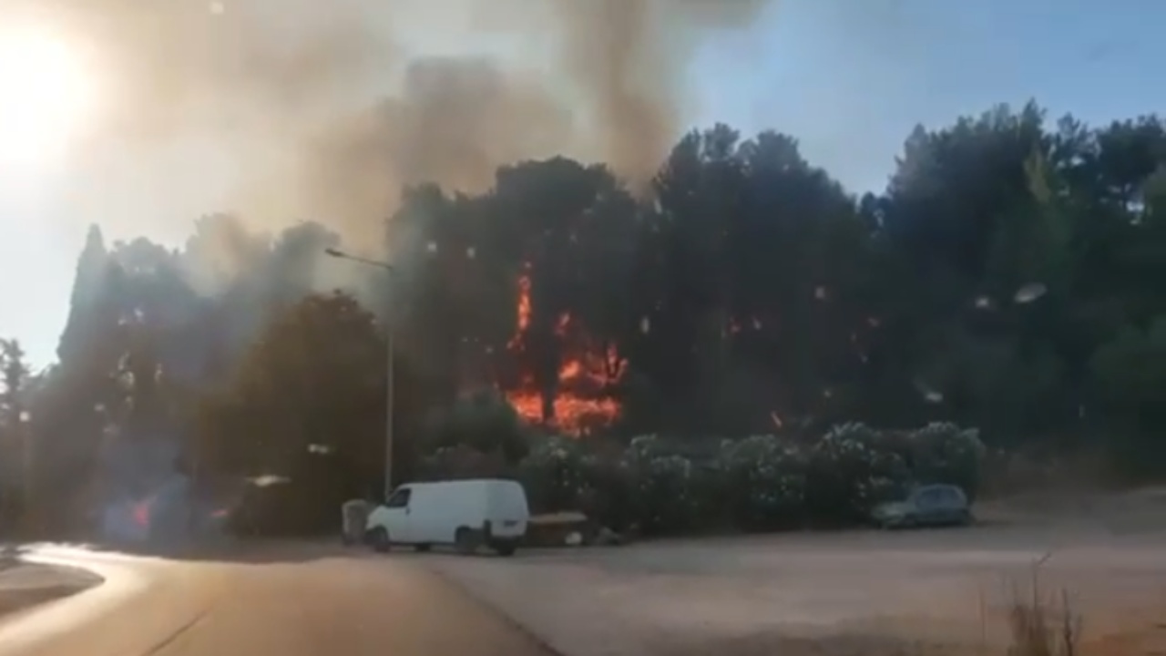 Zjarr madh në Sajada! Raportohet për tre vatra, dhjetëra zjarrëfikës në terren