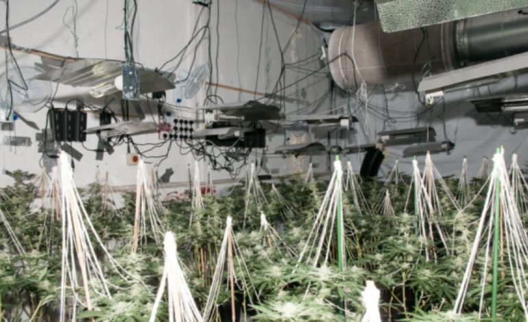 Emrat + Fotot/ Angli, dënohen 4 “specialistët” shqiptarë në trafikun e emigrantëve dhe ngritjen e shtëpive të barit