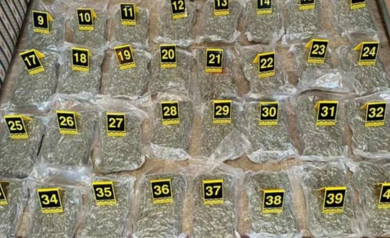 Sekuestrohen 66 kg marijuanë në kufi me Malin e Zi, trafikantët arratisen në Shqipëri