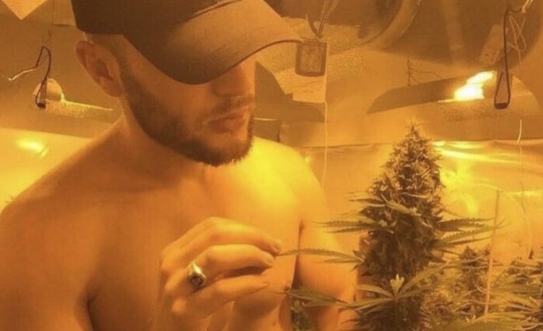 Angli/ Bosët shqiptarë në krizë për punëtorë në “shtëpi bari”, metoda e re me përqindje për t’i joshur reklamohet në TikTok