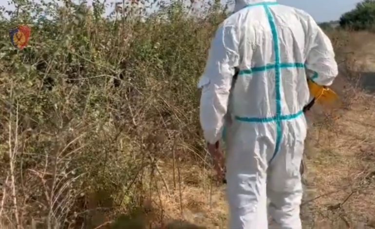 Zbardhet dinamika e krimit horror në Durrës/ Pas vrasjes 30-vjeçari denoncoi se babai ishte larguar nga banesa me një grua të panjohur, djali tjetër gjeti në telefon…