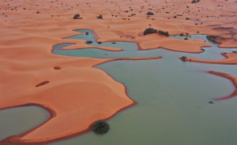FOTO/ NASA publikon pamjet e pabesueshme, përmbytjet krijojnë liqene në Sahara
