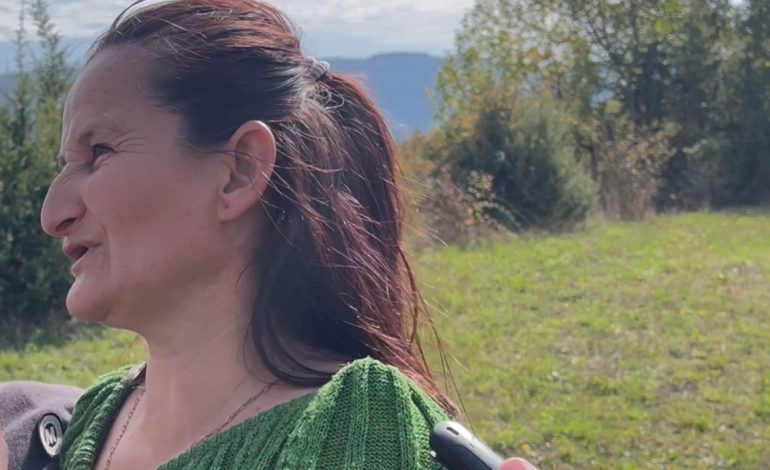 I moshuari ngacmoi seksualisht të miturën, flet nëna e 11-vjeçares: Nuk e di çfarë ka ndodhur, vajza shkoi vetë në dyqan