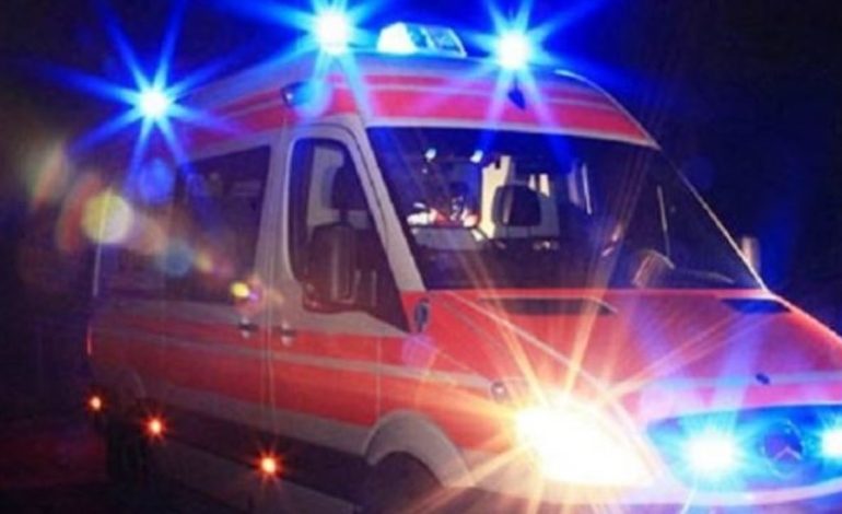 Si ndodhi aksidenti i rëndë në Levan-Qarr/ Makina u përplas me dy mjete të tjera dhe mori para bagëtitë, 4 të plagosur