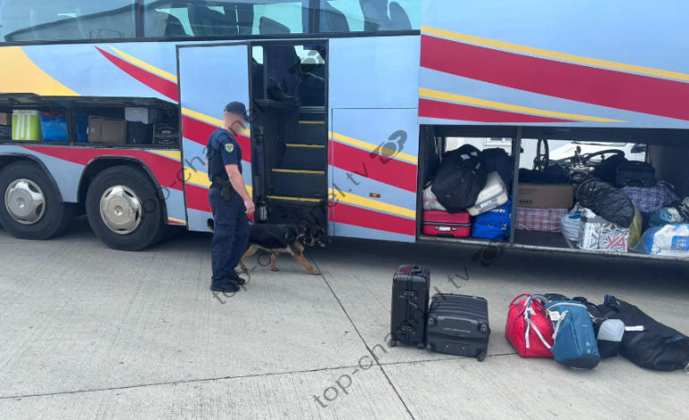 Angli-Shqipëri, operacioni “Marewood” kap kokainë armë dhe para të krimit të organizuar