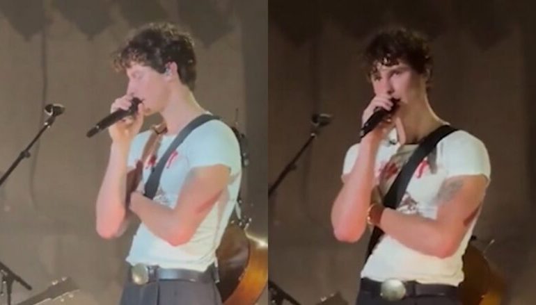 Çfarë ndodhi? Shawn Mendes ndalon koncertin!