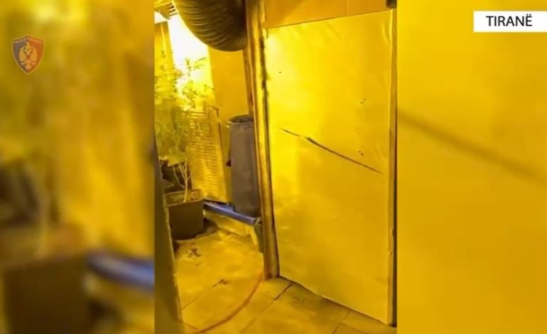 “Laborator” droge në Tiranë, 7 të arrestuar dhe disa të proceduar! Si e zbuloi policia aktivitetin kriminal në katin e dytë të godinës së vjetër