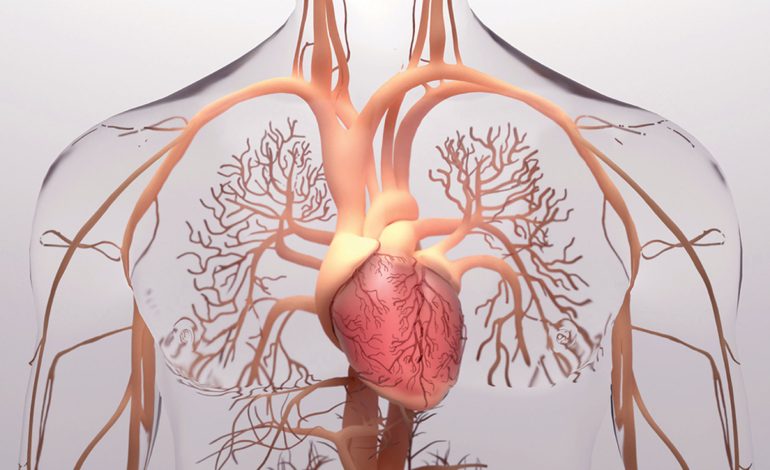 Çfarë i Ndodh Trupit Kur Rritet Tensioni i Lartë i Gjakut