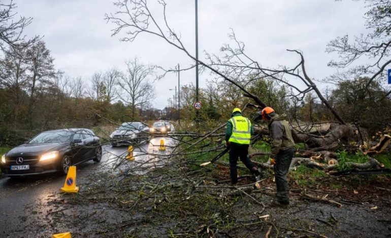 Stuhia “Bert” godet rëndë Mbretërinë e Bashkuar/ Konfirmohet viktima e parë, pema bie dhe i merr jetën të moshuarit
