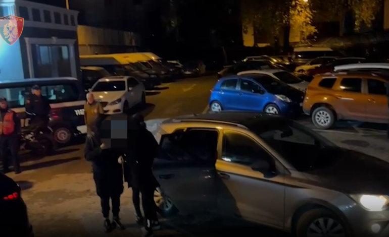 Kokaina fshihej në lëkuren e kafshëve te kriposura, përpunohej në Laboratorin e Qerekës, SPAK zbulon sesi ndaheshin rolet e trafikantëve