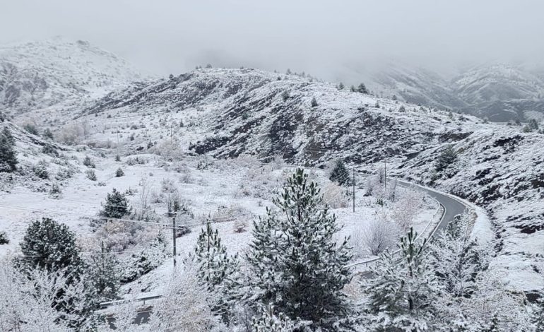 Situata në Korçë/ Reshje dëbore gjatë natës, në Dardhë trashësia maksimale 10 cm