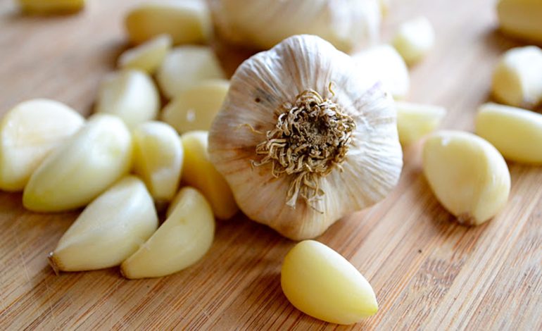 Katër Mënyra Natyrale për të Stimuluar Qarkullimin e Gjakut